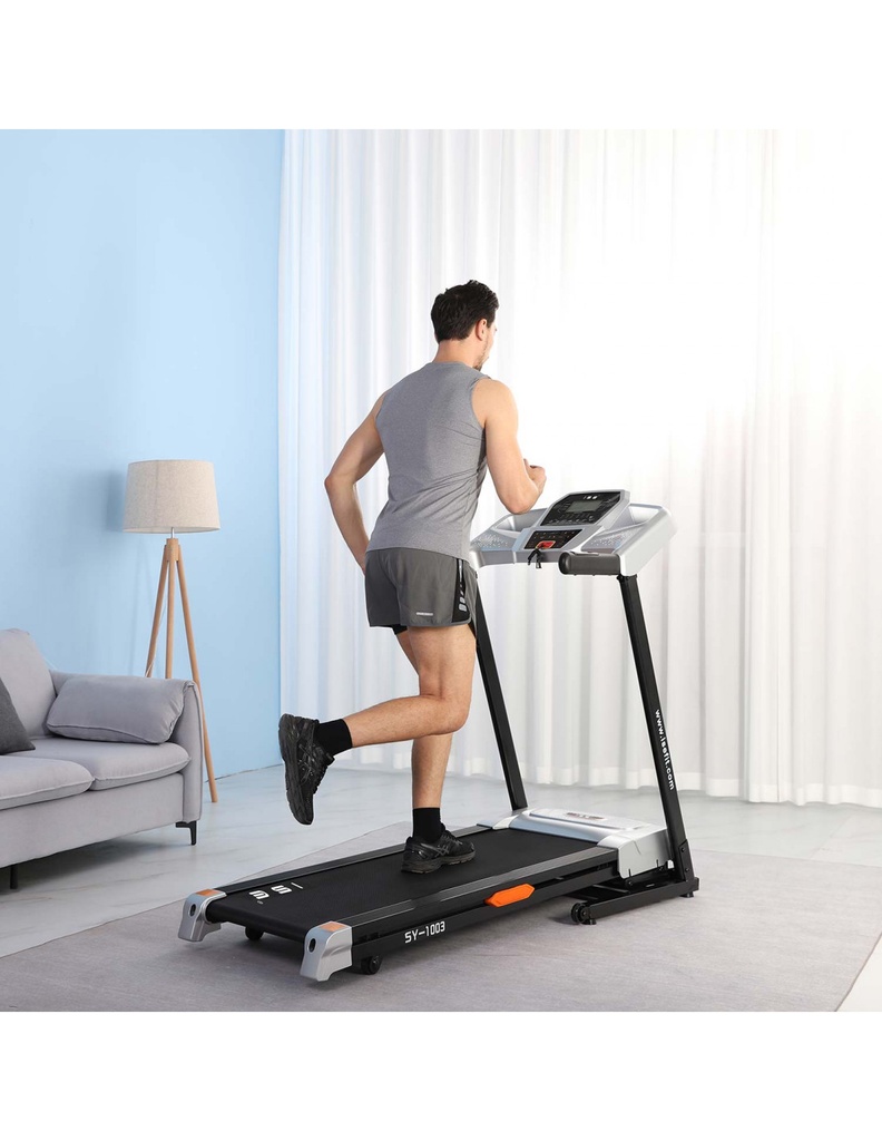 SY-1003 BOMBAY_2.jpg